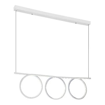 LED Hängeleuchte LOOP 3xLED/20W/230V weiß