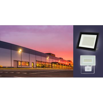 LED-Strahler für den Außenbereich NOCTIS LUX 3 LED/30W/230V 3000K IP65 weiß