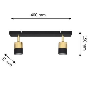 LED-Strahler TUBSSON 2xGU10/6,5W/230V schwarz/golden