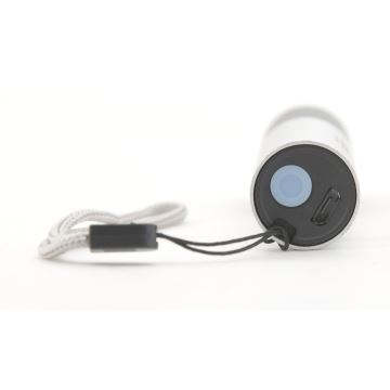 LED-Taschenlampe LED/400mAh weiß/grau