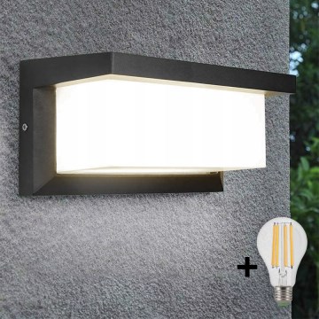 LED-Wandleuchte für den Außenbereich NEELY 1xE27/9W/230V 4000K IP54 anthrazit