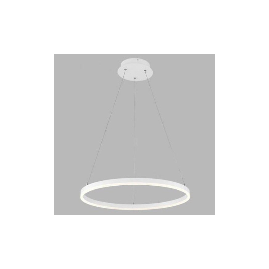 LED2 - LED-Kronleuchter an Schnur CIRCLE LED/42W/230V