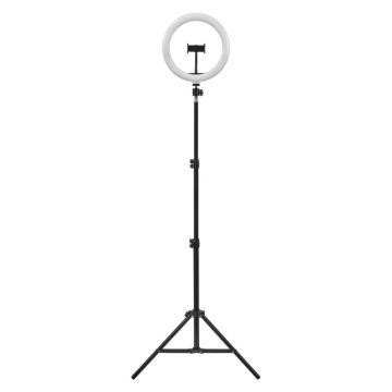 Ledvance - Dimmbare LED-Stehleuchte mit Gestell und Halterung für Vlogging LED/6W/USB 3000/4000/6500K