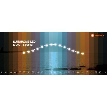 Ledvance - Dimmbares LED-Panel SUN@HOME LED/35W/230V 2200-5000K CRI 95 Wi-Fi