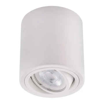 Ledvance - Spotlight TUBA 1xGU10/50W/230V