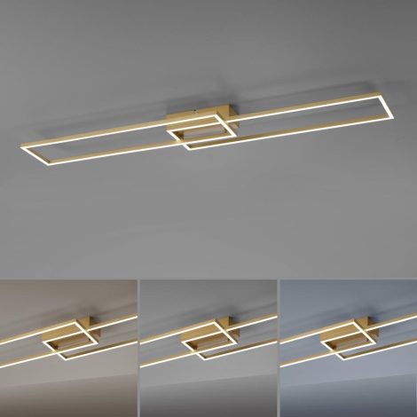 Leuchten Direkt 14019-60 | Dimmbare 2xLED/20W/230V LED-Aufbauleuchte – Beleucht IVEN Fernbedienung 