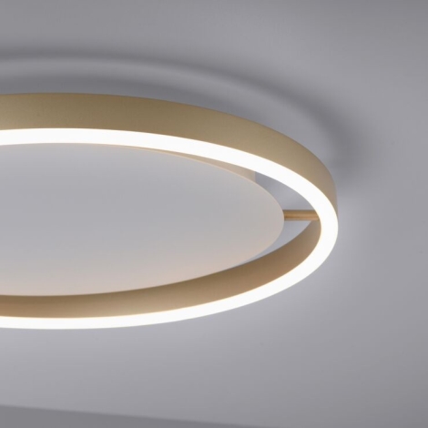 RITUS LED-Deckenleuchte – Direkt 15391-60 LED/20W/230V Dimmbare Leuchten