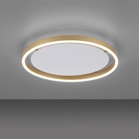 LED-Deckenleuchte Dimmbare – 15391-60 Direkt LED/20W/230V Leuchten RITUS