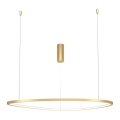 Maytoni MOD072PL-L36BSK1 - LED-Hängeleuchte an Schnur GLINT LED/36W/230V golden d 80 cm