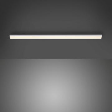 Paul Neuhaus 1125-21-A - Erweiterung LED-Küchenunterbauleuchte AMON LED/6W/12/230V