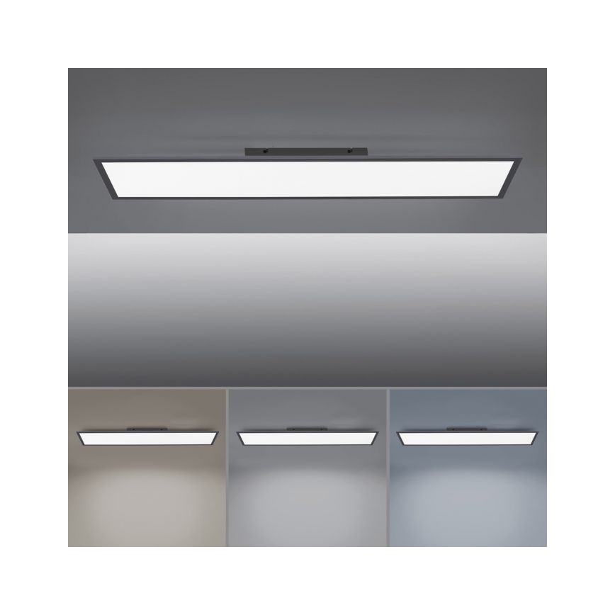 Paul Neuhaus 16533-16-O - LED Dimmbares Aufbaupanel FLAT LED/24W/230V 2700-5000K schwarz + Fernbedienung