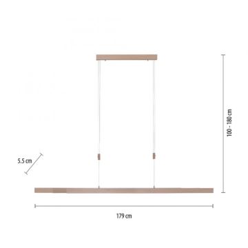 Paul Neuhaus 2568-78 - Dimmbare LED-Hängeleuchte an Schnur ADRIANA LED/14W/230V 2700-5000K