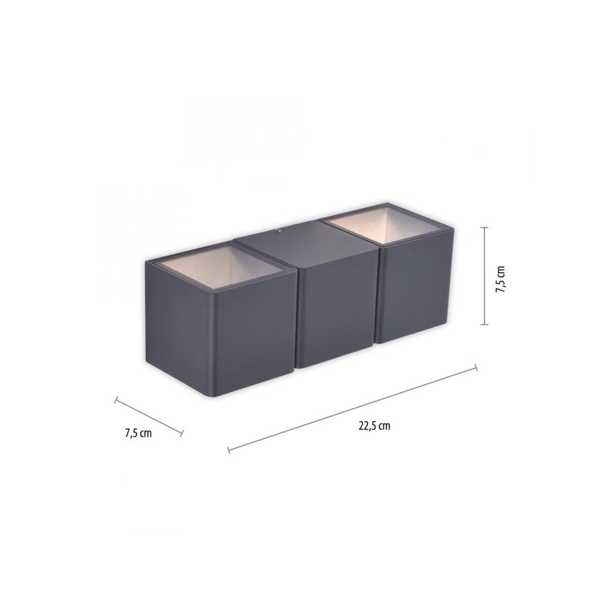 Paul Neuhaus 9658-13 - LED Außenwandleuchte MARCEL 2xLED/4W/230V IP54