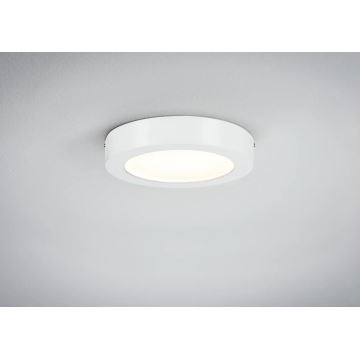 Paulmann 70641 - LED/11W Deckenleuchte LUNAR 230V d 17 cm weiß