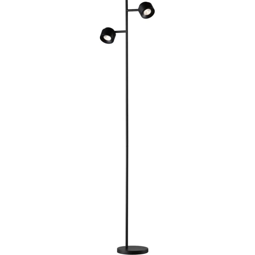 Paulmann 79775 - 2xLED/3W Dimmbare Stehleuchte PURIK PANE 230V