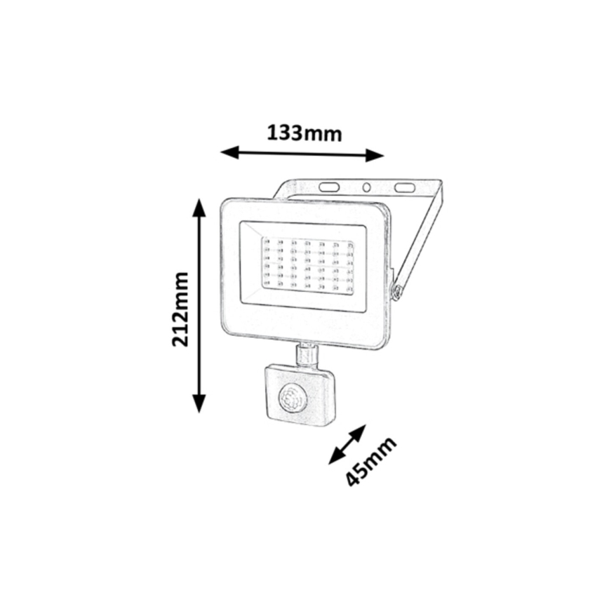 Rabalux - LED-Strahler mit Sensor LED/30W/230V 4000K IP44 schwarz