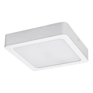 Rabalux - LED-Deckenleuchte LED/7W/230V 3000K 12x12 cm weiß