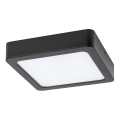 Rabalux - LED-Deckenleuchte LED/7W/230V 4000K 12x12 cm schwarz