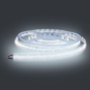 LED-Streifen LED/80W/12V 5m kaltweiß