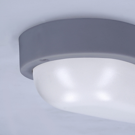 LED-Wandleuchte für den Außenbereich LED/13W/230V 4000K IP54 grau oval