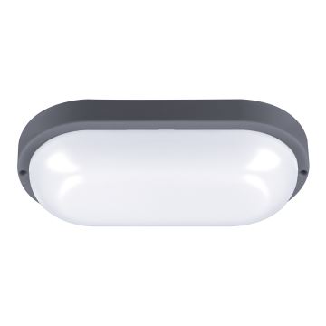 LED-Wandleuchte für den Außenbereich LED/20W/230V 4000K IP54 grau oval