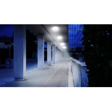 STEINEL 057589-LED Außen-Deckenleuchte mit Sensor QUATTRO LED/14W/230V IP54 4000K