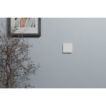 TESLA Smart - Smart Home Schalter 2P 230V Zigbee