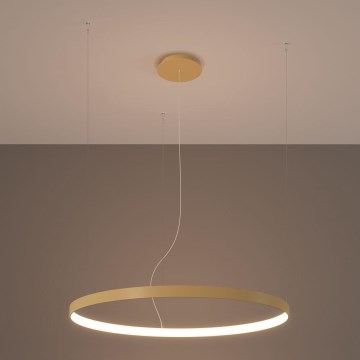 Thoro TH.174 - LED-Hängeleuchte an Schnur RIO LED/50W/230V CRI90 3000K d 78 cm golden