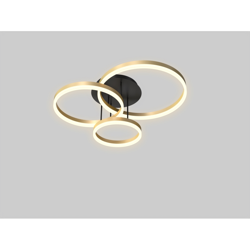 Wofi 9049-401 - Dimmbare LED-Aufbauleuchte PERPIGNAN LED/51W/230V golden