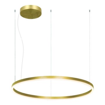 Zambelis 22240 - Dimmbare LED-Hängeleuchte an Schnur LED/57W/230V 3000K d 80 cm golden